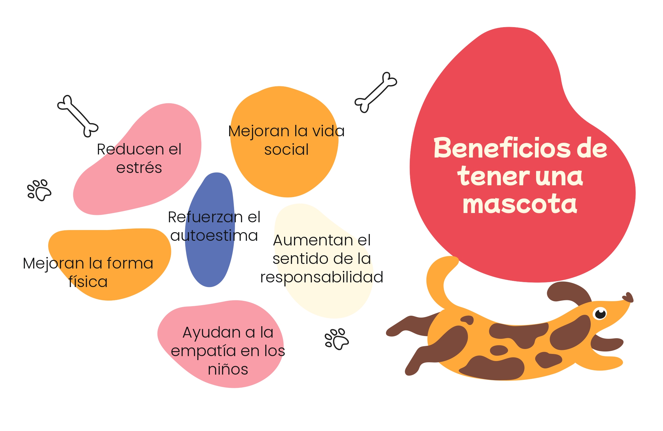 Mascotas info